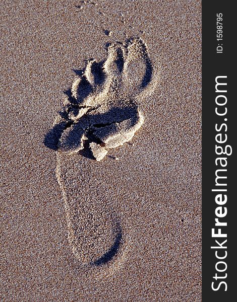 Footprint of the left Foot Of A Male In The Sand On The Beach