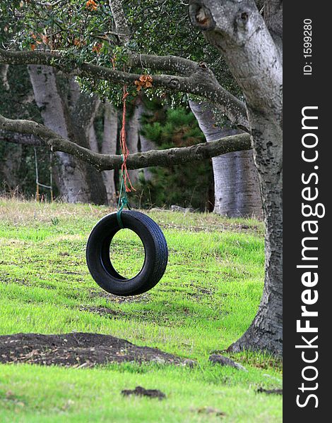 Child's tire swing hanging from trees