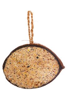 Coconut Stuffed With Bird Seed Royalty Free Stock Images Coconut Stuffed With Bird Seed Royalty Free Stock Images