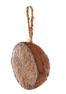 Coconut Stuffed With Bird Seed Stock Image Coconut Stuffed With Bird Seed Stock Image