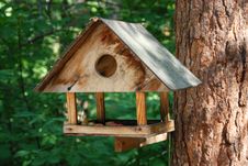 Wooden Bird Feeder Stock Photo