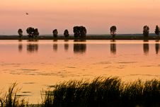 Beautiful And Calm Golden Lake At Sunset Stock Photos Beautiful And Calm Golden Lake At Sunset Stock Photos