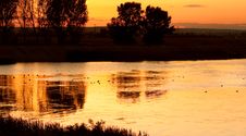 Ducks On Calm Lake At Sunset Stock Image