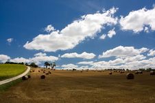 Scenic View On Summer Agricultural Landscape Royalty Free Stock Photography