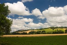 Scenic View On Summer Agricultural Landscape Royalty Free Stock Photos
