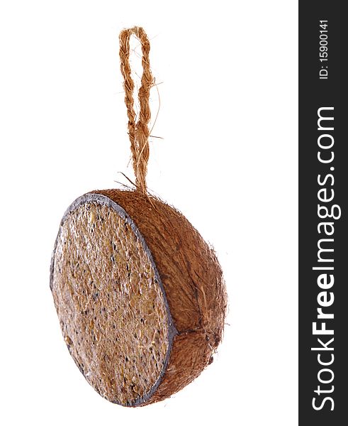 Coconut stuffed with bird seed studio cutout