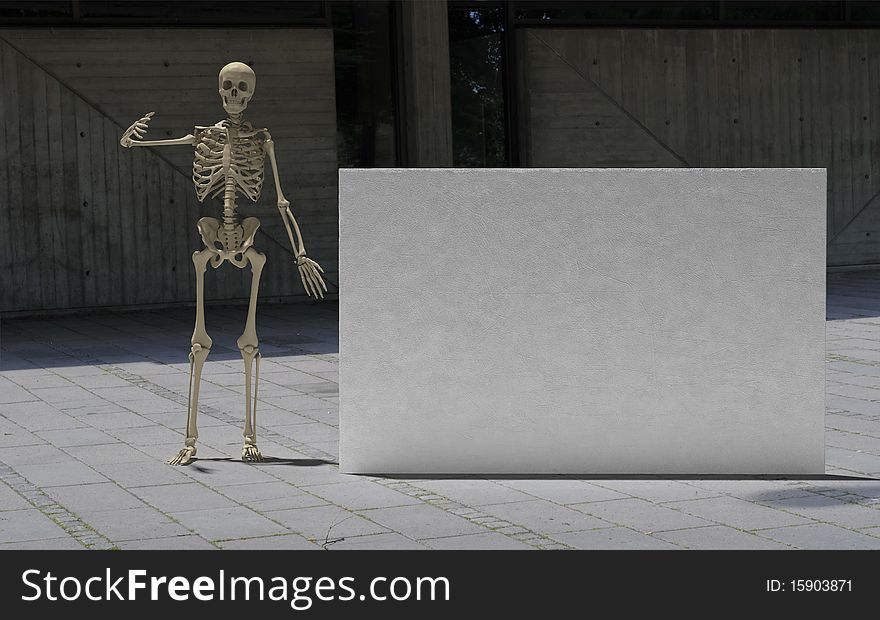 Public Skeleton