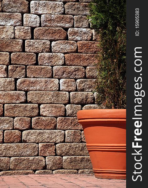 Tree in a flowerpot on brick wall background