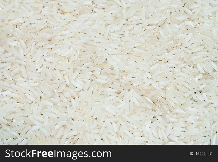 Background rice scattered, for background or textures