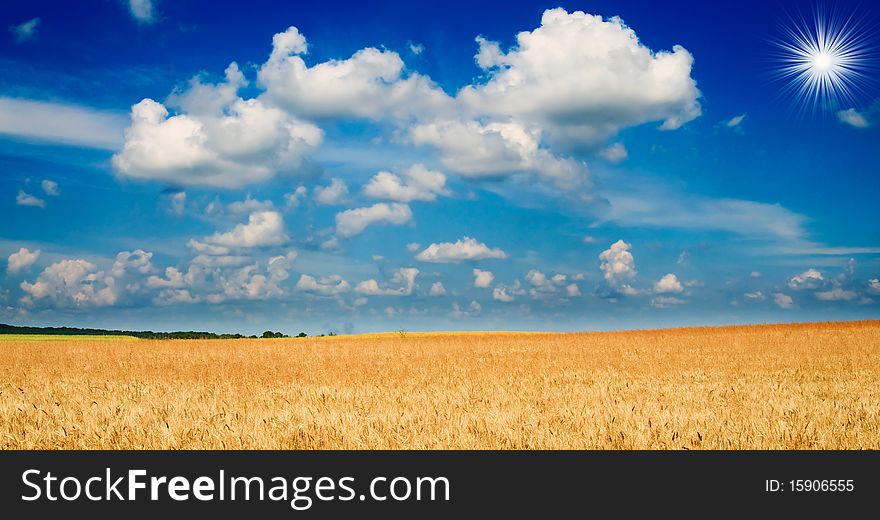 Beautiful golden field of ripe wheat and fun sun by summer. Beautiful golden field of ripe wheat and fun sun by summer.