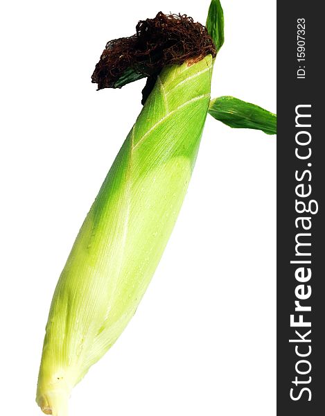 Closely-packed fresh corn isolated on a white background