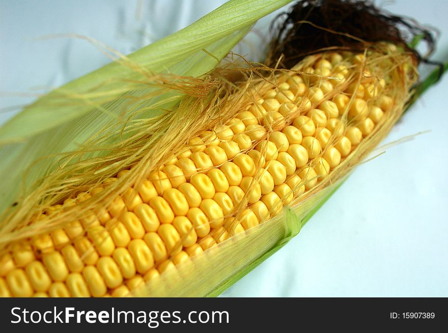 Close-up view of closely packed corn looking fresh