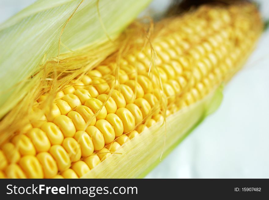 Close-up view of closely packed corn looking fresh and blurred on a white background