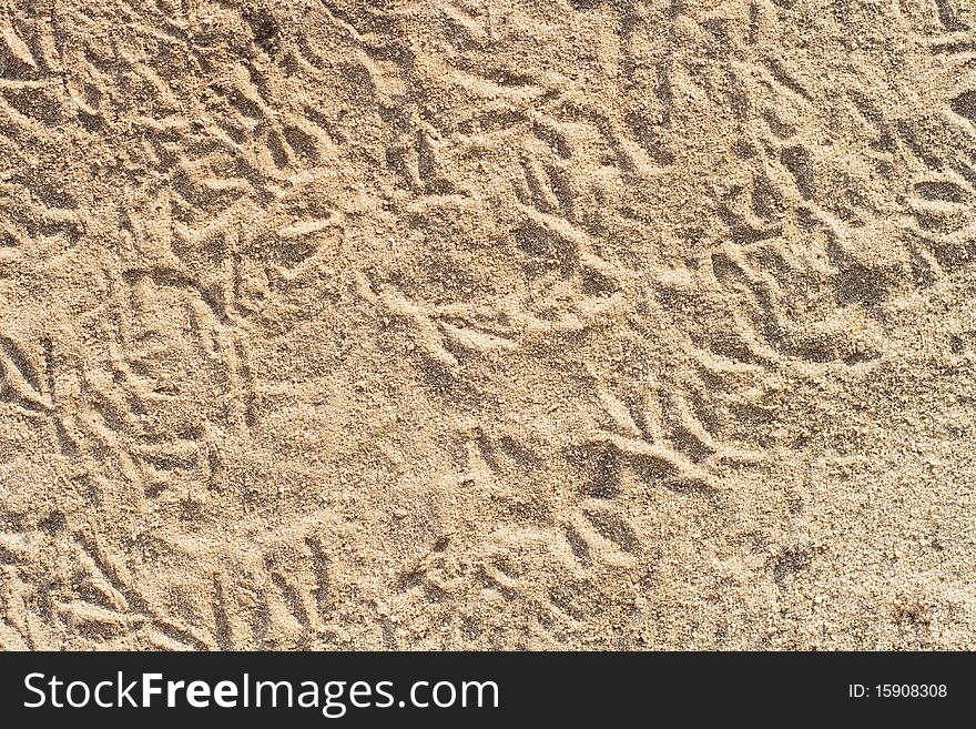Background - bird footprints in sand