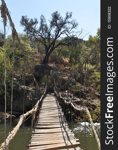 This image was taken in Hennopriver, South Africa. The bridge hangs over a river as can be seen and it is constructed of steel cable and wood. On the opposite side you can see rocks, green vegetation and a large tree that grows on a rock. This image was taken in Hennopriver, South Africa. The bridge hangs over a river as can be seen and it is constructed of steel cable and wood. On the opposite side you can see rocks, green vegetation and a large tree that grows on a rock.