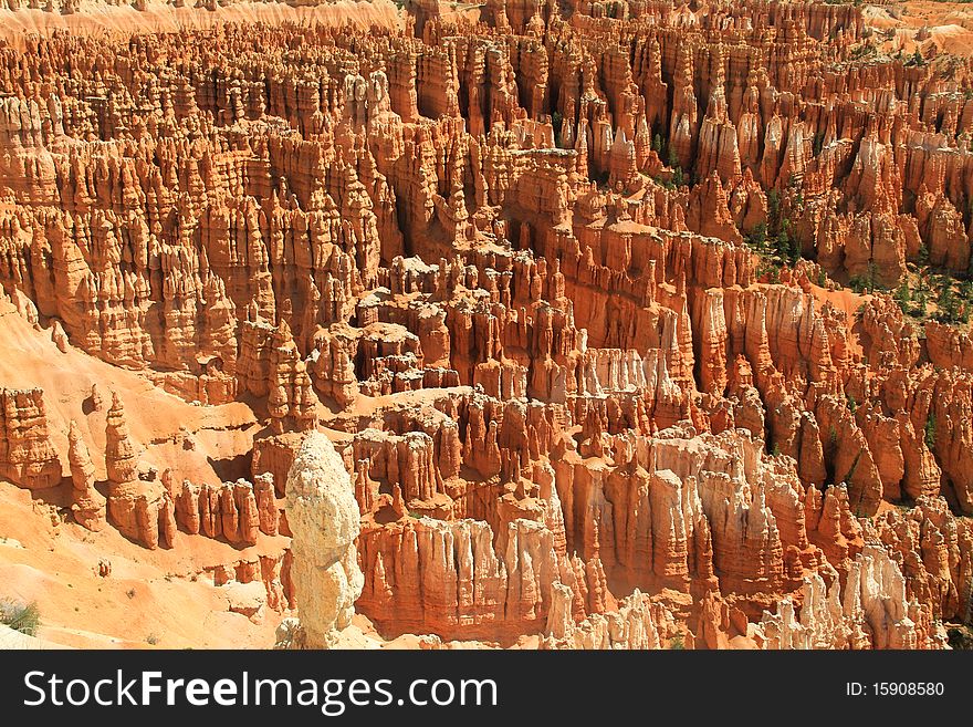 Bryce canyon picture of beautiful landscape with red rocks in nature. Bryce canyon picture of beautiful landscape with red rocks in nature