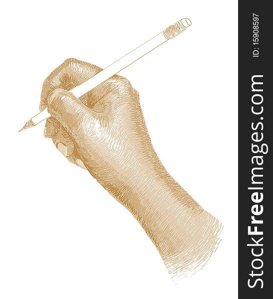 Hand Holds The Pencil