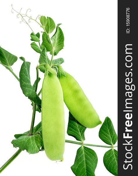 green peas isolated on white