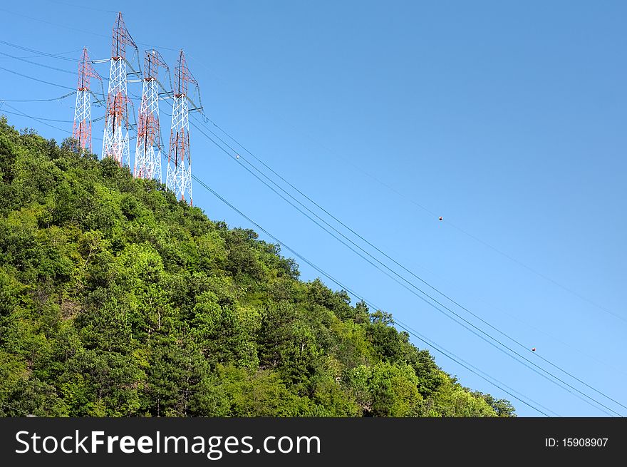 High voltage line above green forest