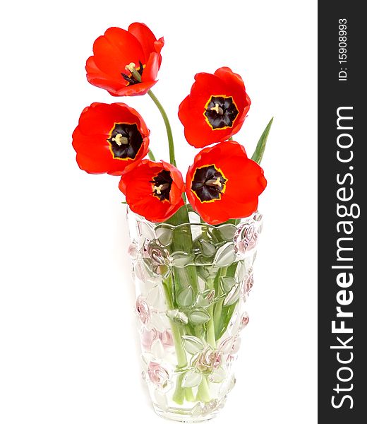 Red tulips in a vase, Insulation