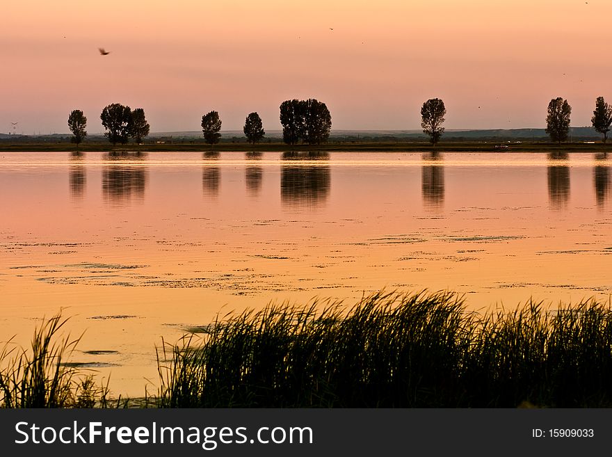 Beautiful and calm golden lake at sunset