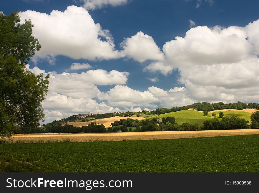 Scenic View On Summer Agricultural Landscape