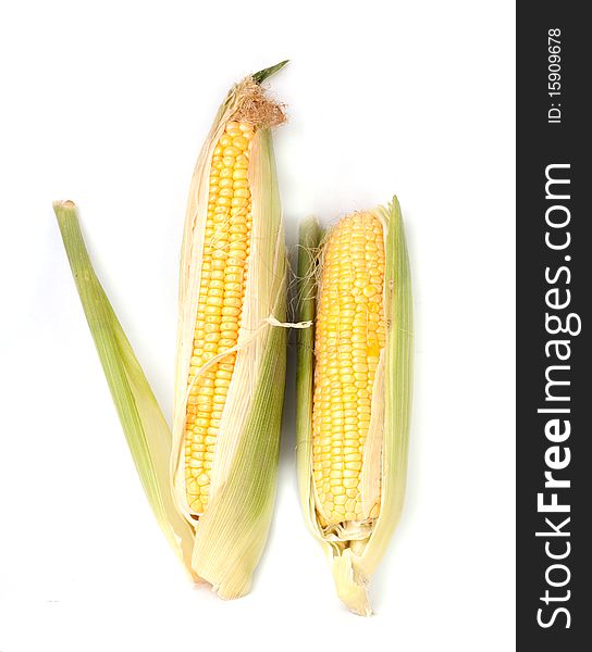 Corn isolated on white background.