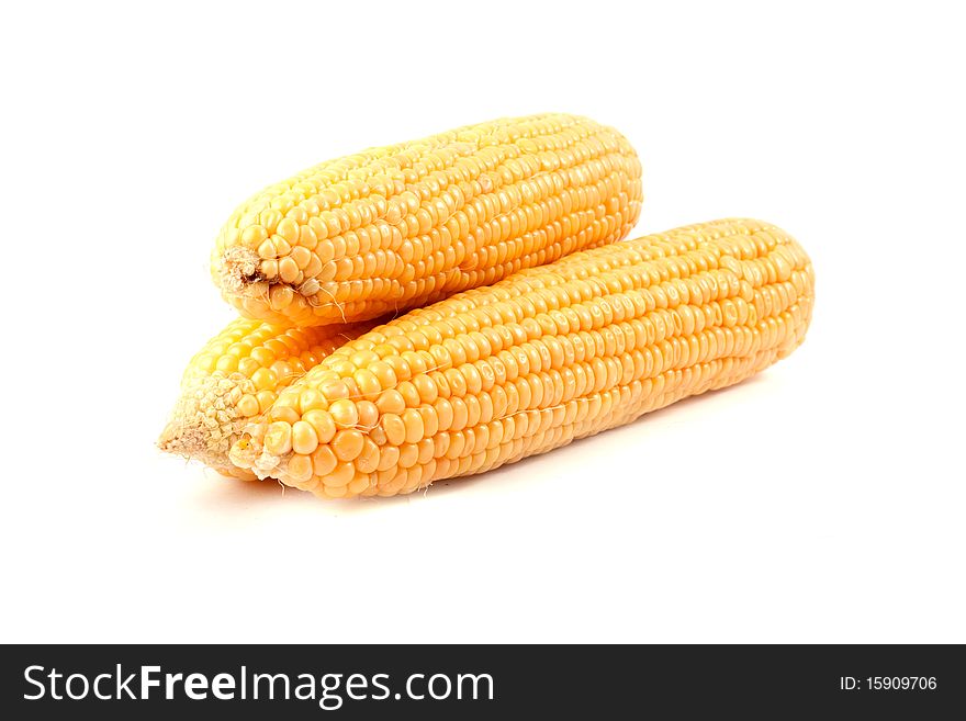 Corn isolated on white background.