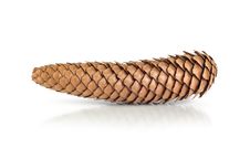 Dry Pine Cone Royalty Free Stock Images