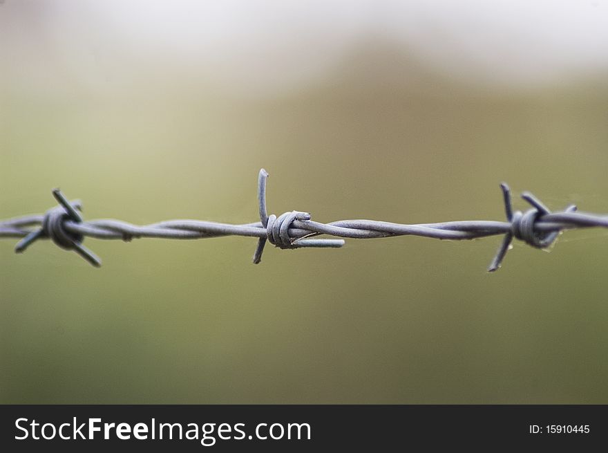 Twisted barbed wire. Copy space. Twisted barbed wire. Copy space.