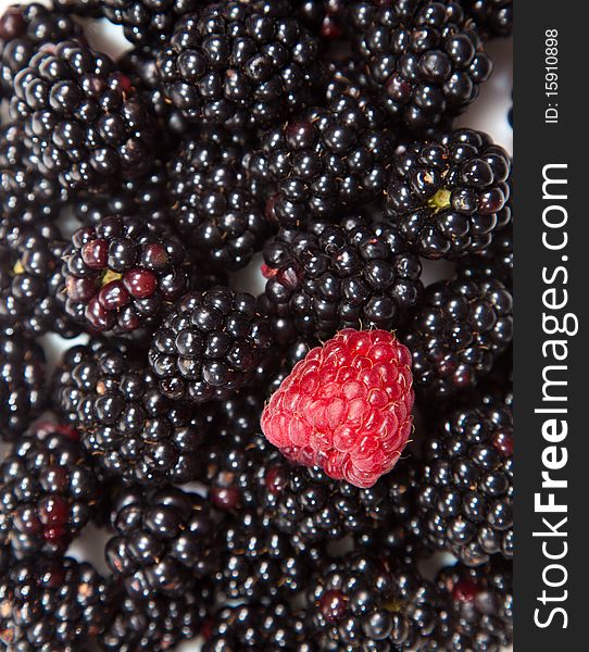 Composition of black and red raspberries on white isolated background in studio