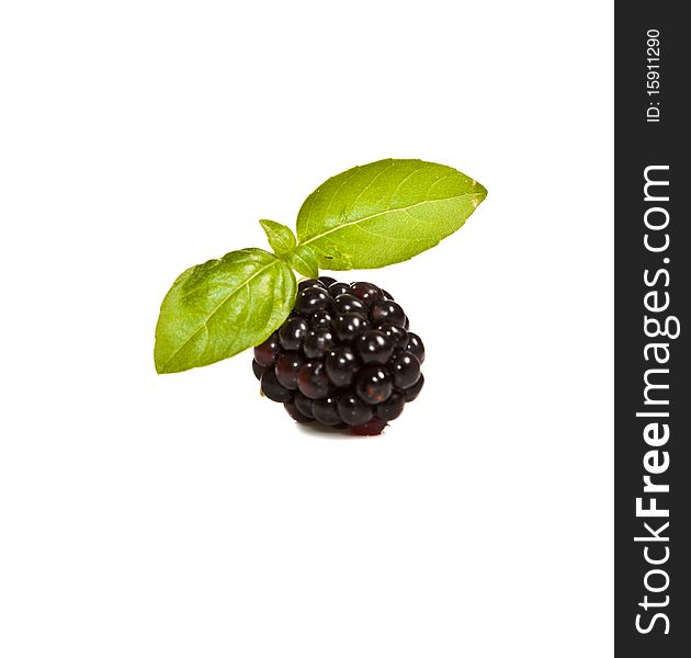 Ripe Black raspberries on white isolated background