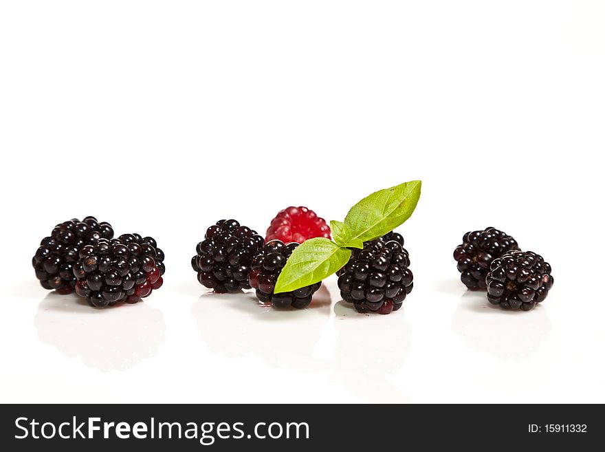 Ripe Black And Red Raspberries