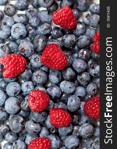 Composition of ripe black and red raspberries, strawberries and blackberries. Composition of ripe black and red raspberries, strawberries and blackberries