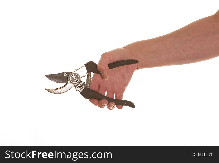 Hand holding out a pair of secateurs