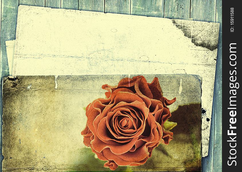 Beautiful rose - artwork in retro style