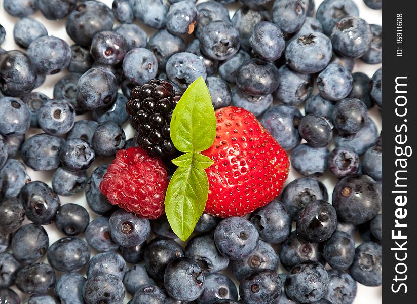 Composition of ripe black and red raspberries, strawberries and blackberries. Composition of ripe black and red raspberries, strawberries and blackberries