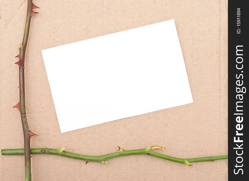 Rose thorn with card on cardboard