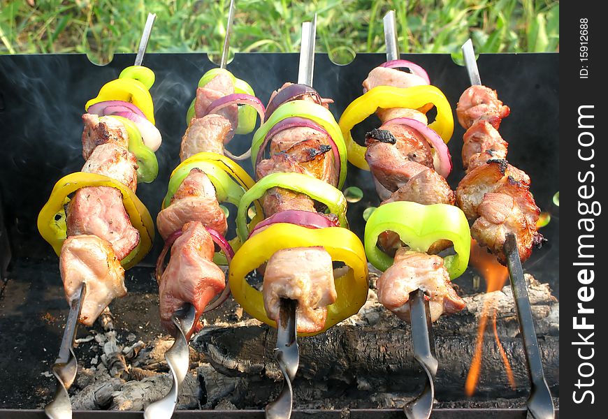 Grilled meat with pepper onion roasting cooking on fire. Grilled meat with pepper onion roasting cooking on fire