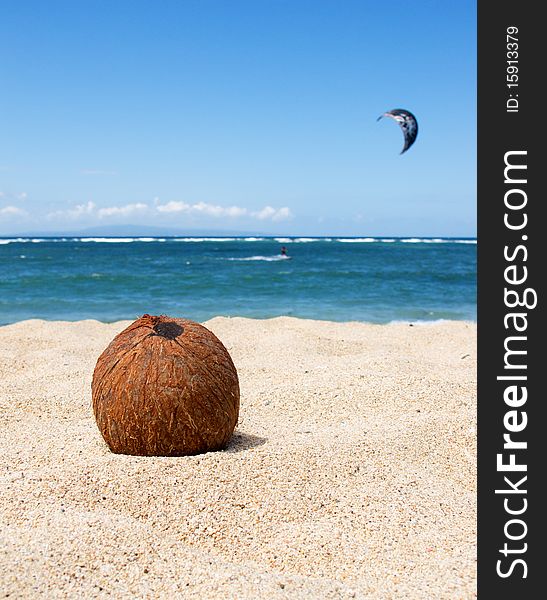 Coconut on the tropical beach