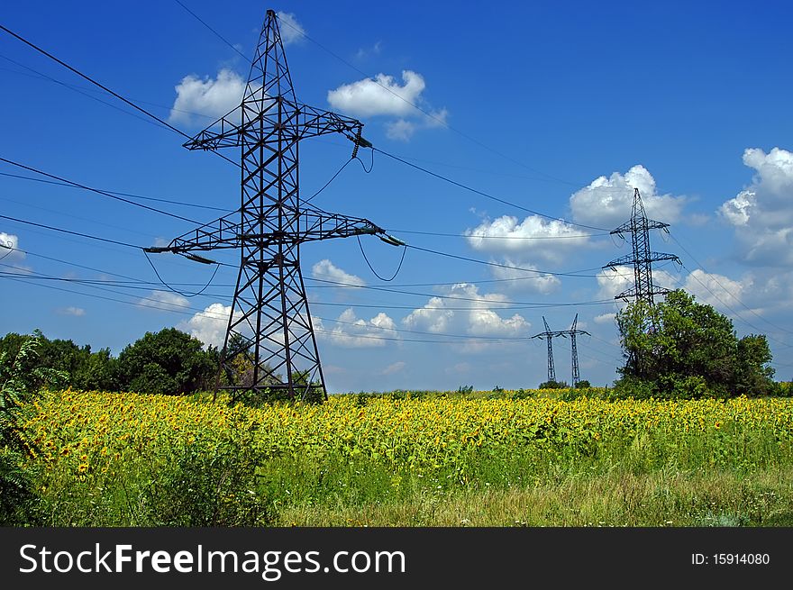 High-voltage wires are placed over a field of sunflowers. High-voltage wires are placed over a field of sunflowers
