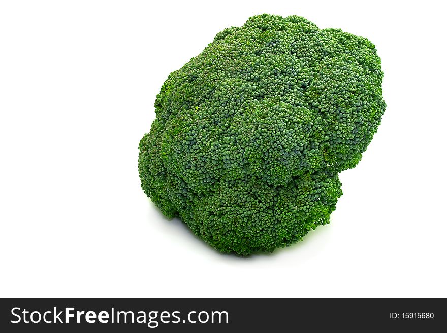 One green broccoli are on white surface