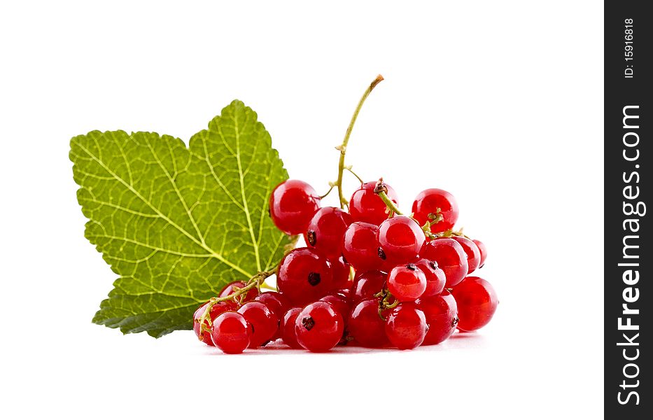 Fresh red currants isolated on white background, fruits