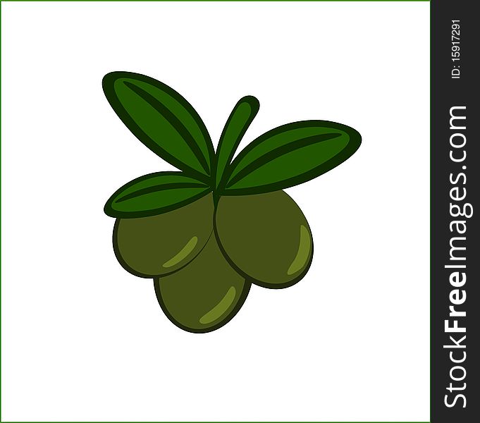 Green olives branch with leaves illustration