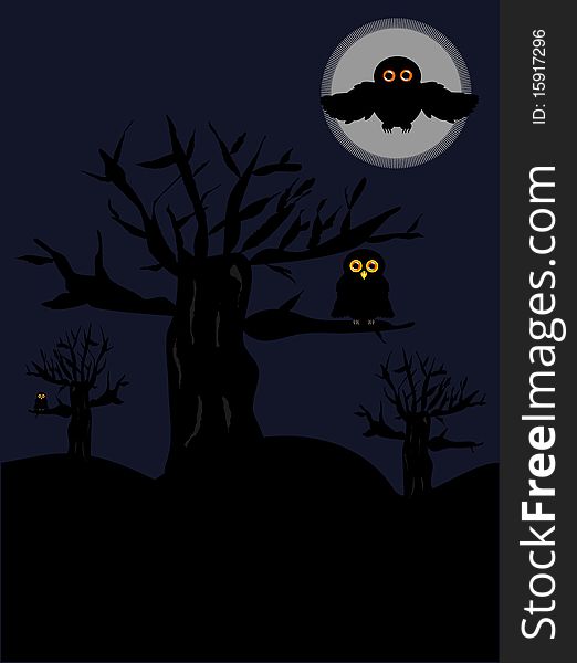 Night scary scenery with old trees and owls. Night scary scenery with old trees and owls