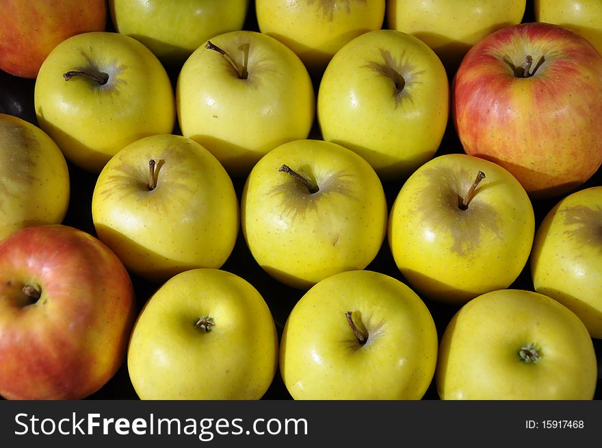Tasty and healthy apples at garden