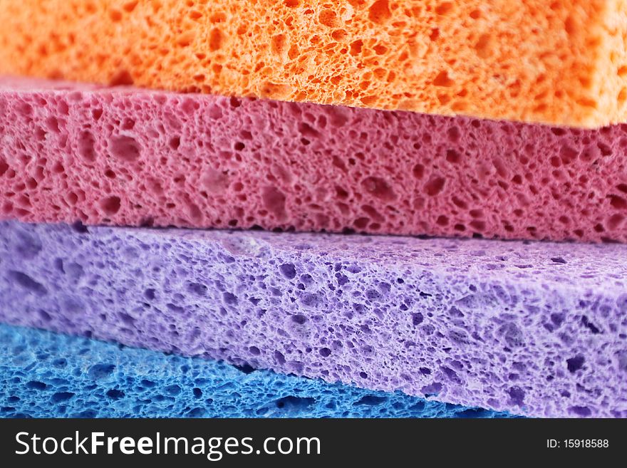 Sponges in four different colors