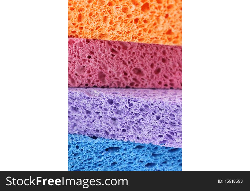 Sponges in four different colors