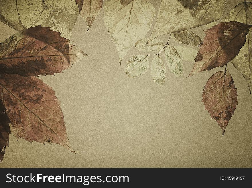 Autumnal leaves on an old paper