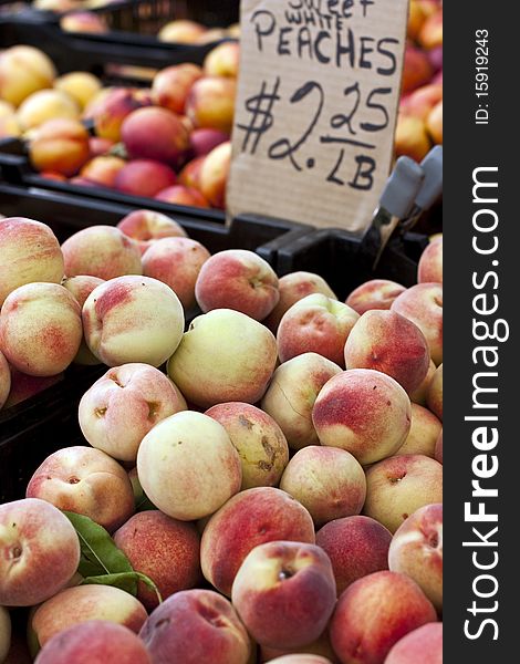 Boxes of white peaches for sell at a farmers market. Boxes of white peaches for sell at a farmers market
